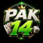 PAK14 game